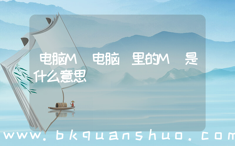 电脑M(电脑 里的M 是什么意思)